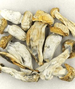 Melmac Mushroom 5 grams